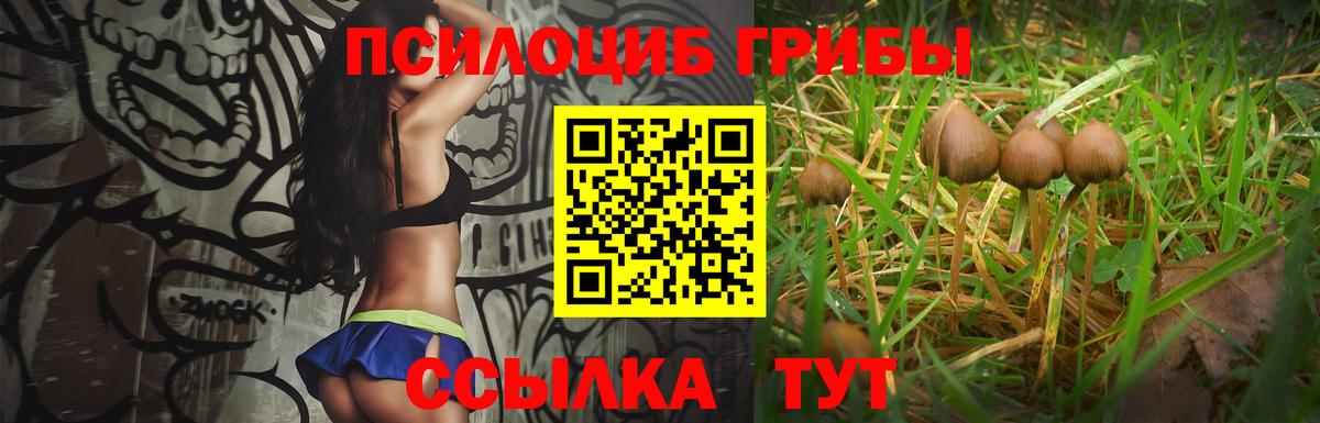 Галлюциногенные грибы мицелий Барнаул